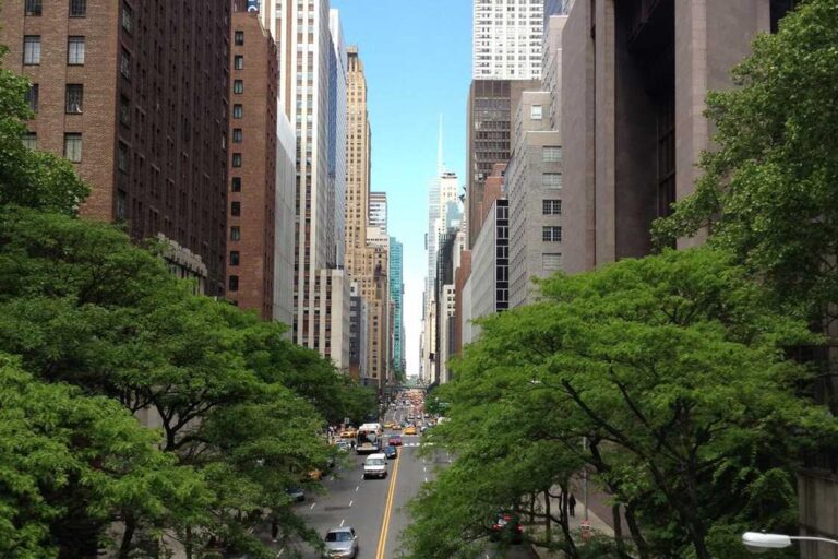 Labore laboriosam doloribus consequatur mollitia suscipit ipsum